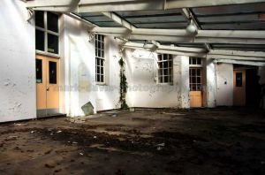 Deva Conservatory.jpg